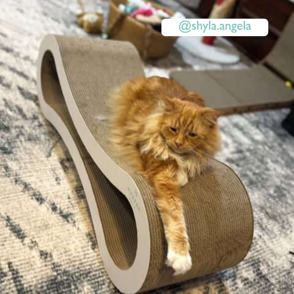 Cat Scratcher Infinity Lounge, White