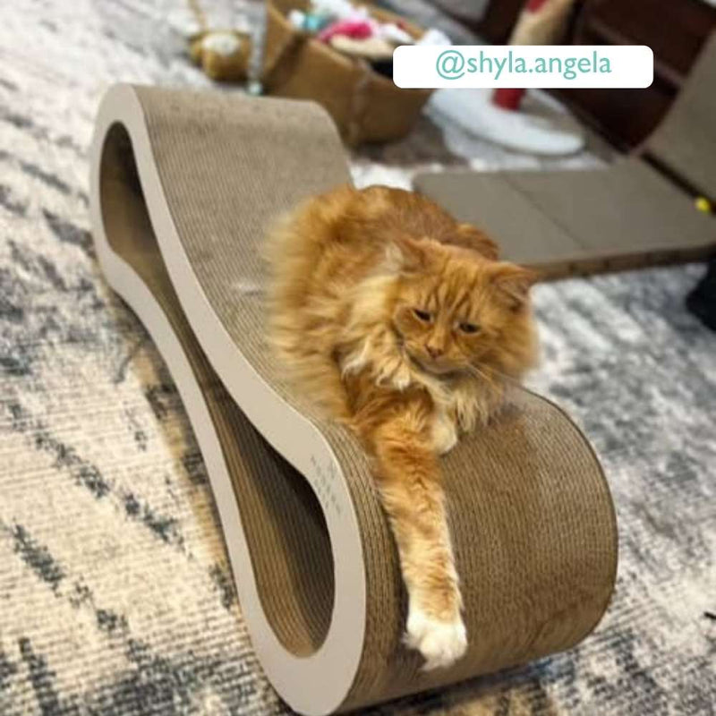 Cat Scratcher Infinity Lounge, White
