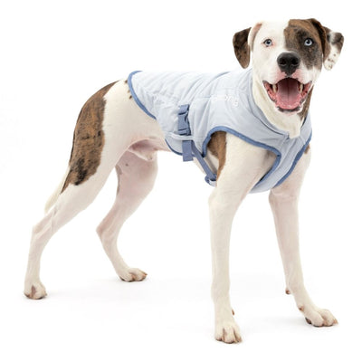 Kurgo Core Cooling Vest