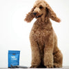 Petz Park Supplement For Dogs | Skin + Coat