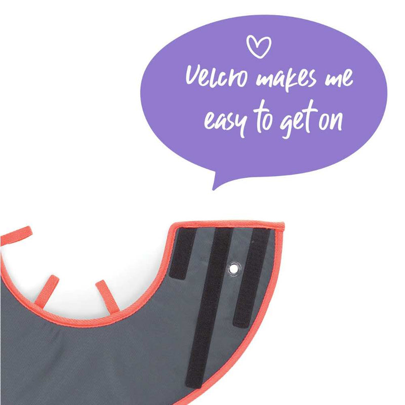Comfy Dog Cone - Recovery Collar