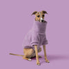 Teddy Dog Jumper, Lilac