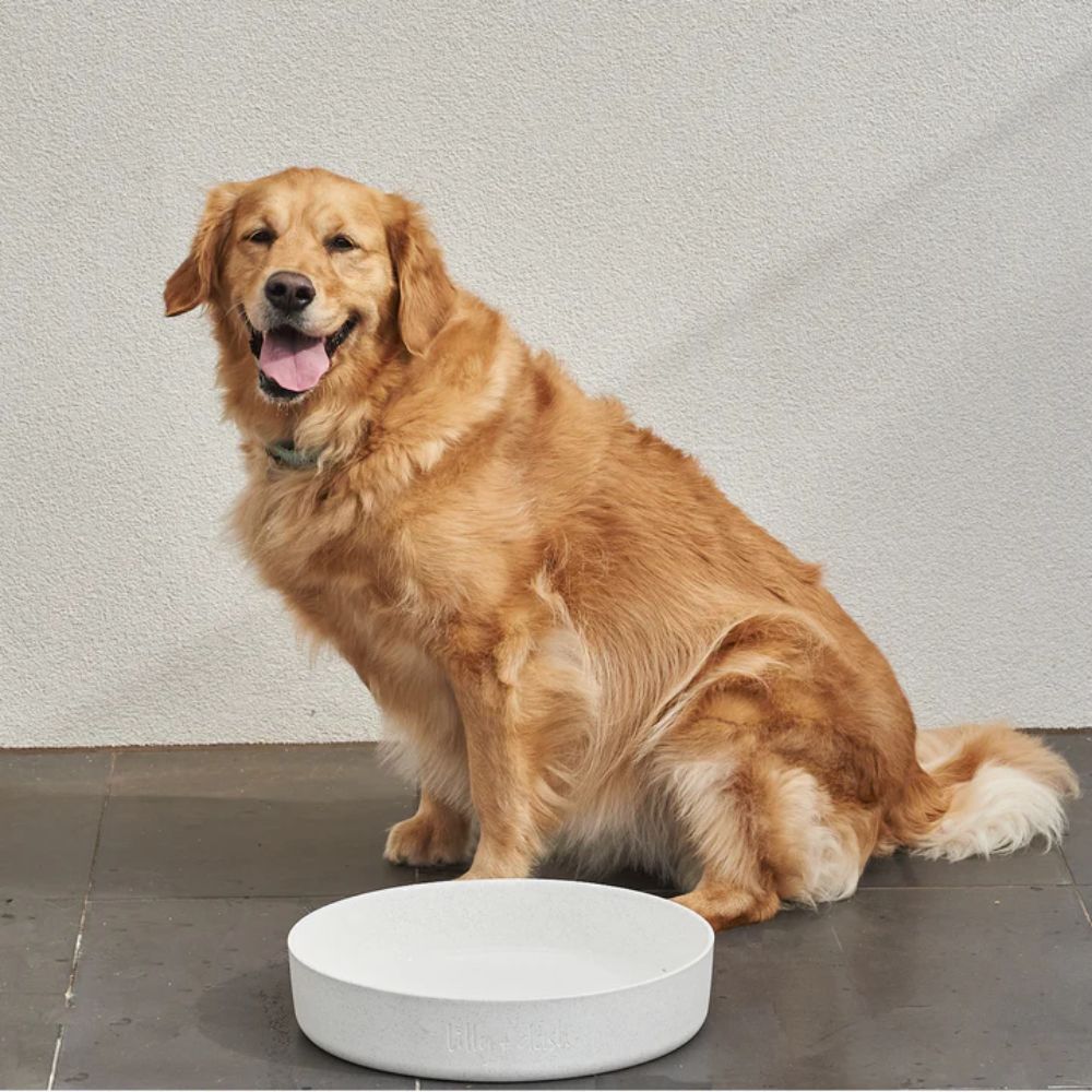 Extra Large Outdoor Dog Water Bowl, Milk Speckle