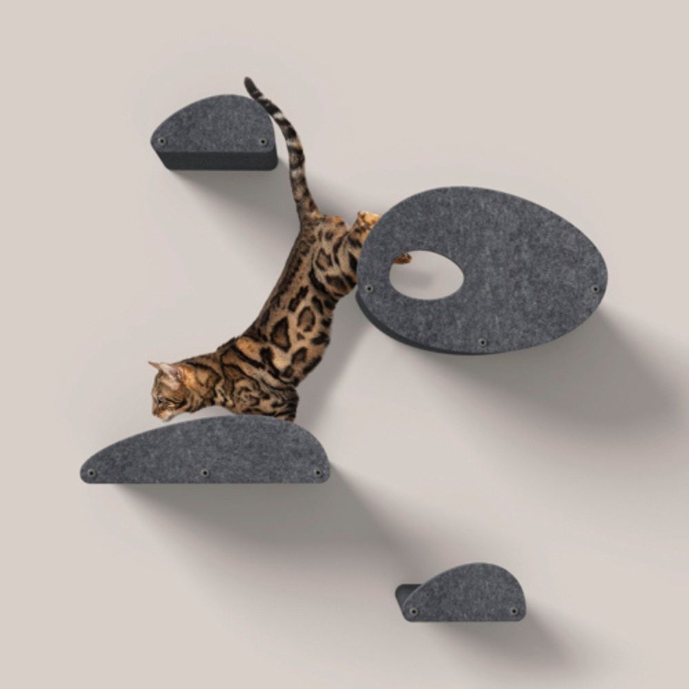 Cat Climber Set of 4 Shelves, Charcoal