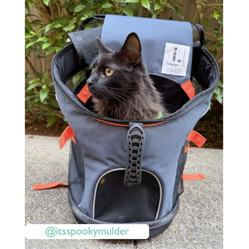 Ibiyaya Ultralight-Pro Backpack Pet Carrier, Navy Blue