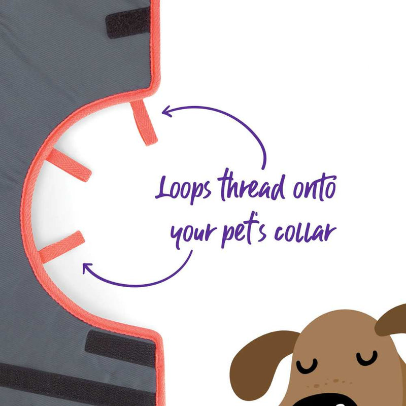 Comfy Dog Cone - Recovery Collar
