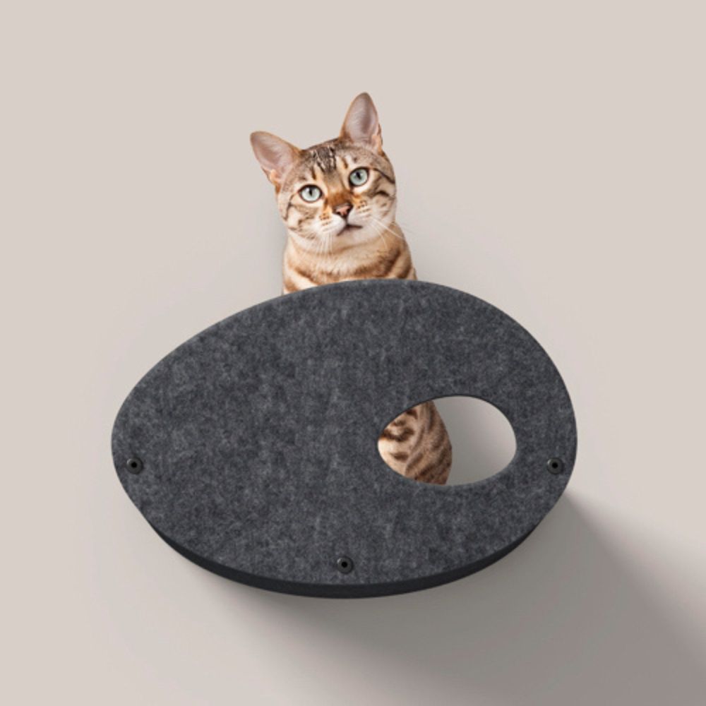 Cat Climber Set of 4 Facade Add-Ons, Charcoal