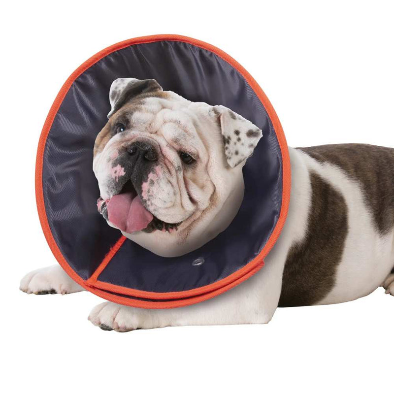 Comfy Dog Cone - Recovery Collar