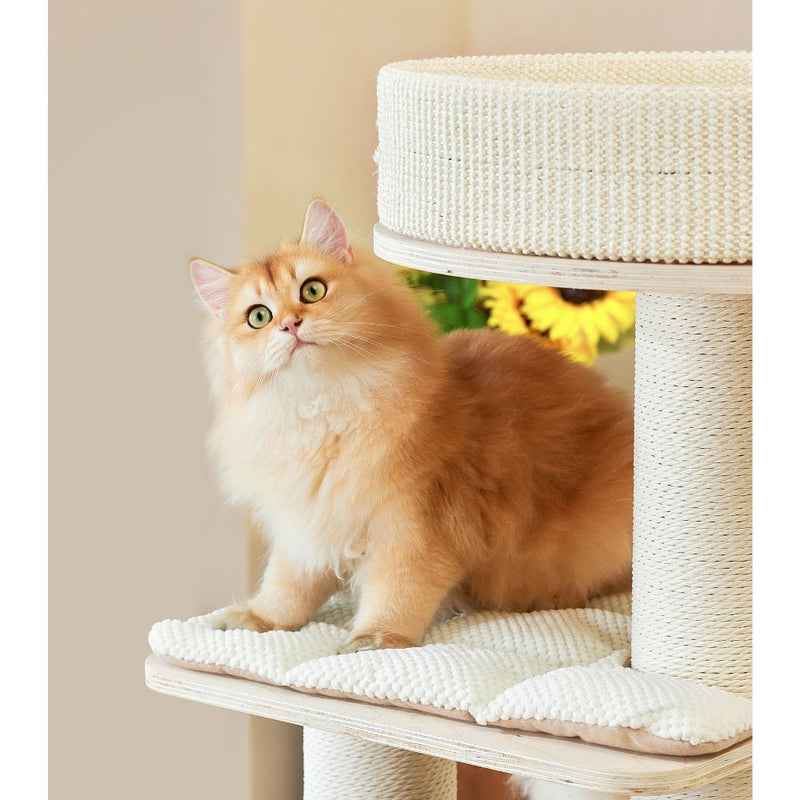 Michu Luna Solid Wood Cat Nest Tree