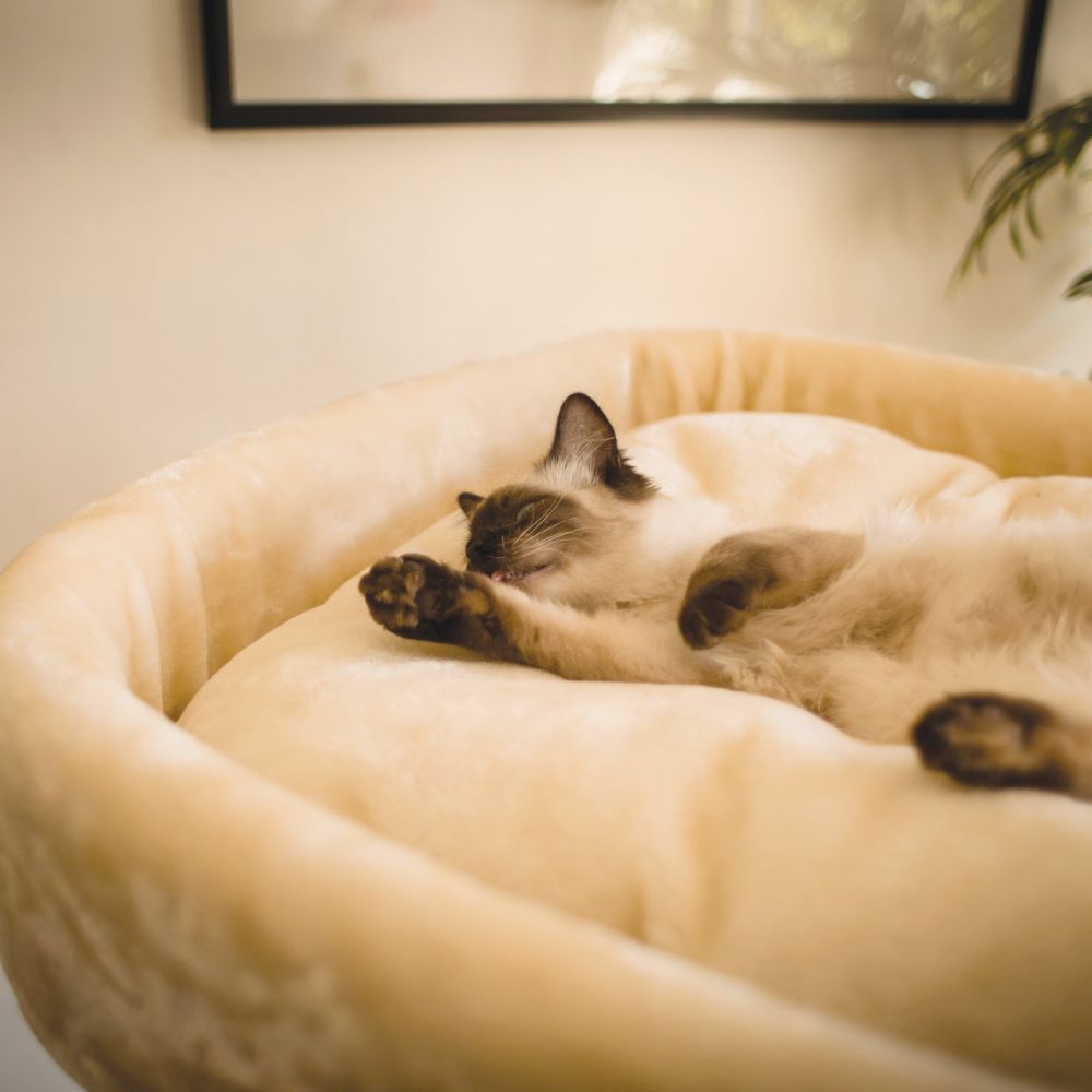 High Bed Scratching Post for Large Cats, Cream
