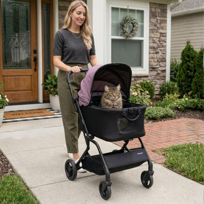 Ibiyaya HUE-GO Detachable Pet Stroller & Capsule, Dusty Pink
