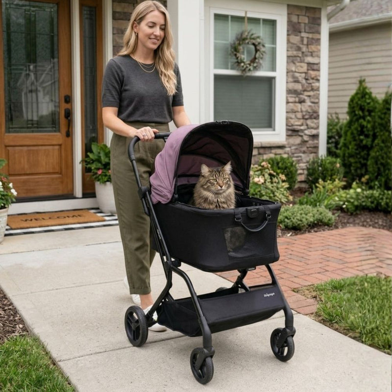 Ibiyaya HUE-GO Detachable Pet Stroller & Capsule, Dusty Pink