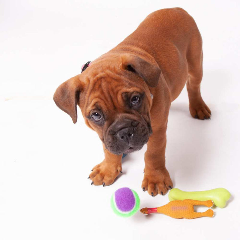Puncture Proof Tennis Ball Dog Toy