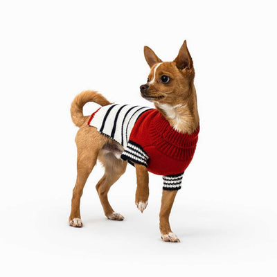 Emerson Knitted Dog Jumper