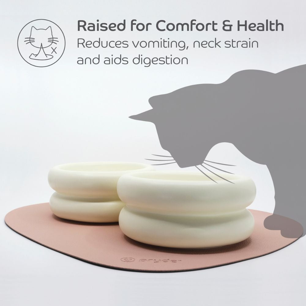 Ceramic Cat Dining Bowl - Elevated
