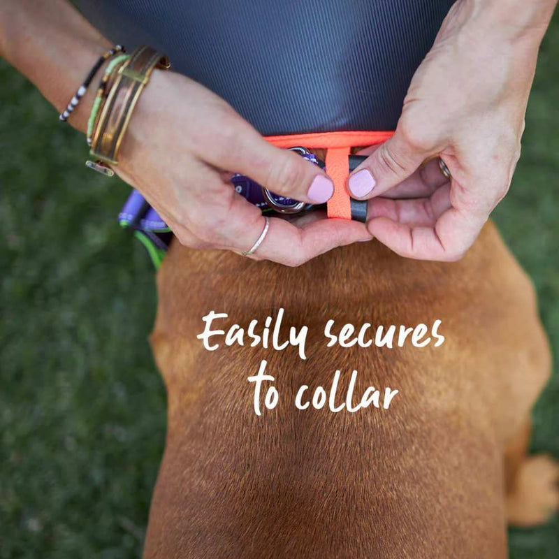 Comfy Dog Cone - Recovery Collar