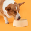 Michu Elevated Ceramic Bowls for Cats and Dogs