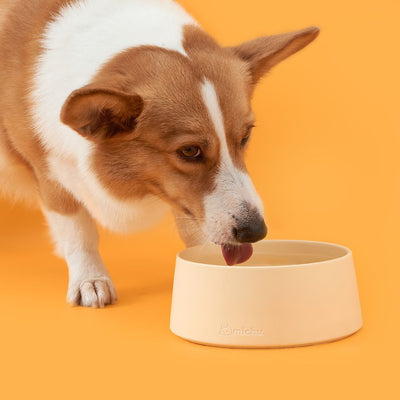 Michu Elevated Ceramic Bowls for Cats and Dogs