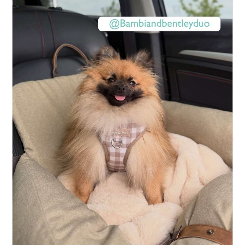 Premium Dog Booster Seat | Small