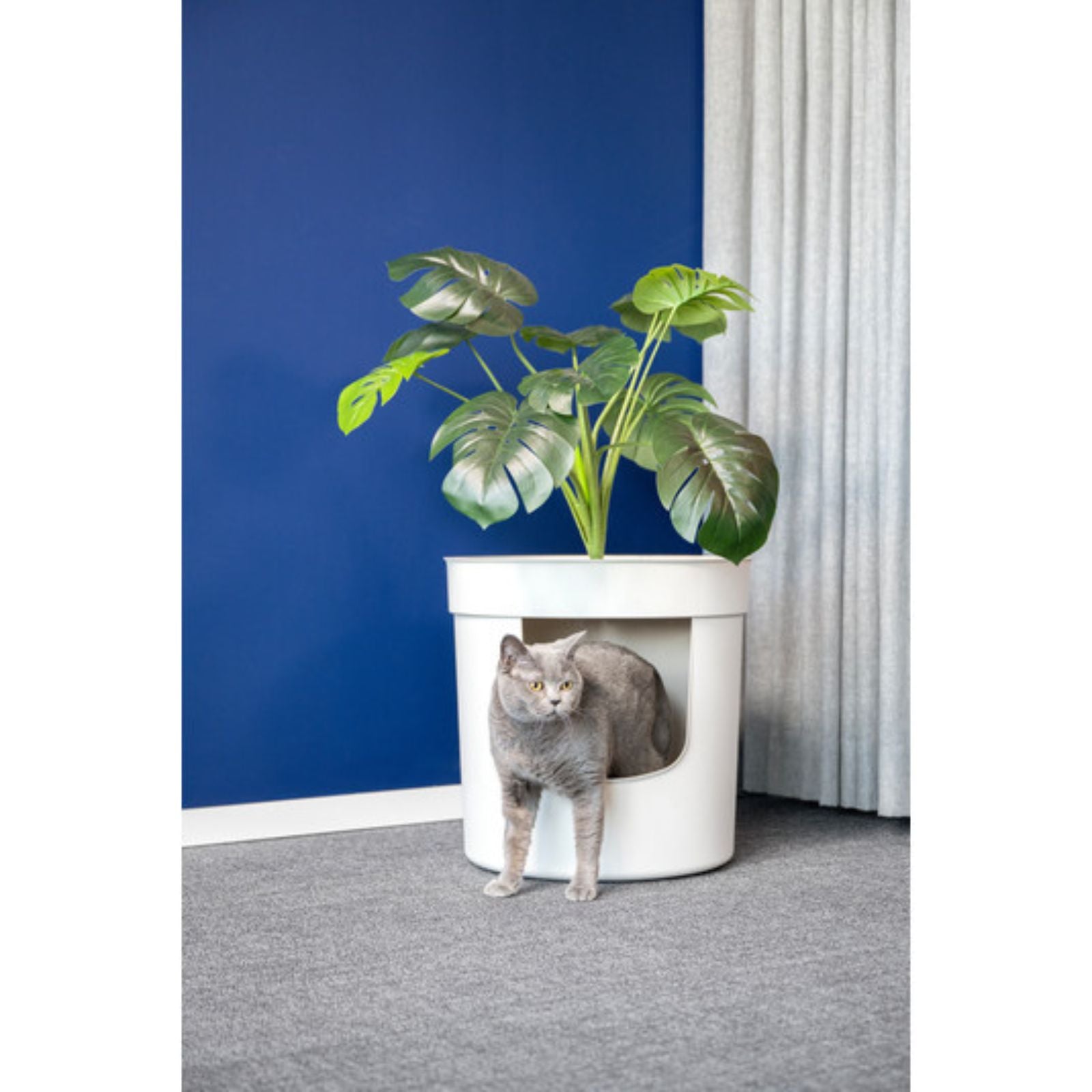 pot plant kitty litter Moderna Hidden Planter Litter Box, Soft White