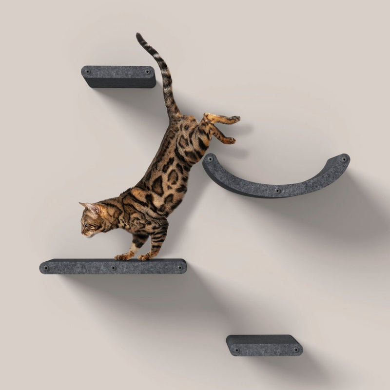 Cat Climber Set of 4 Shelves, Charcoal