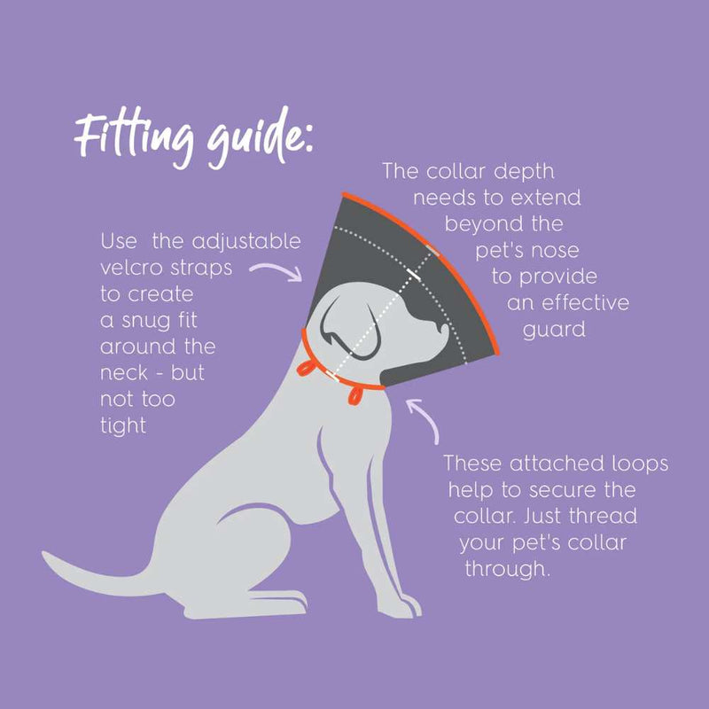 Comfy Dog Cone - Recovery Collar