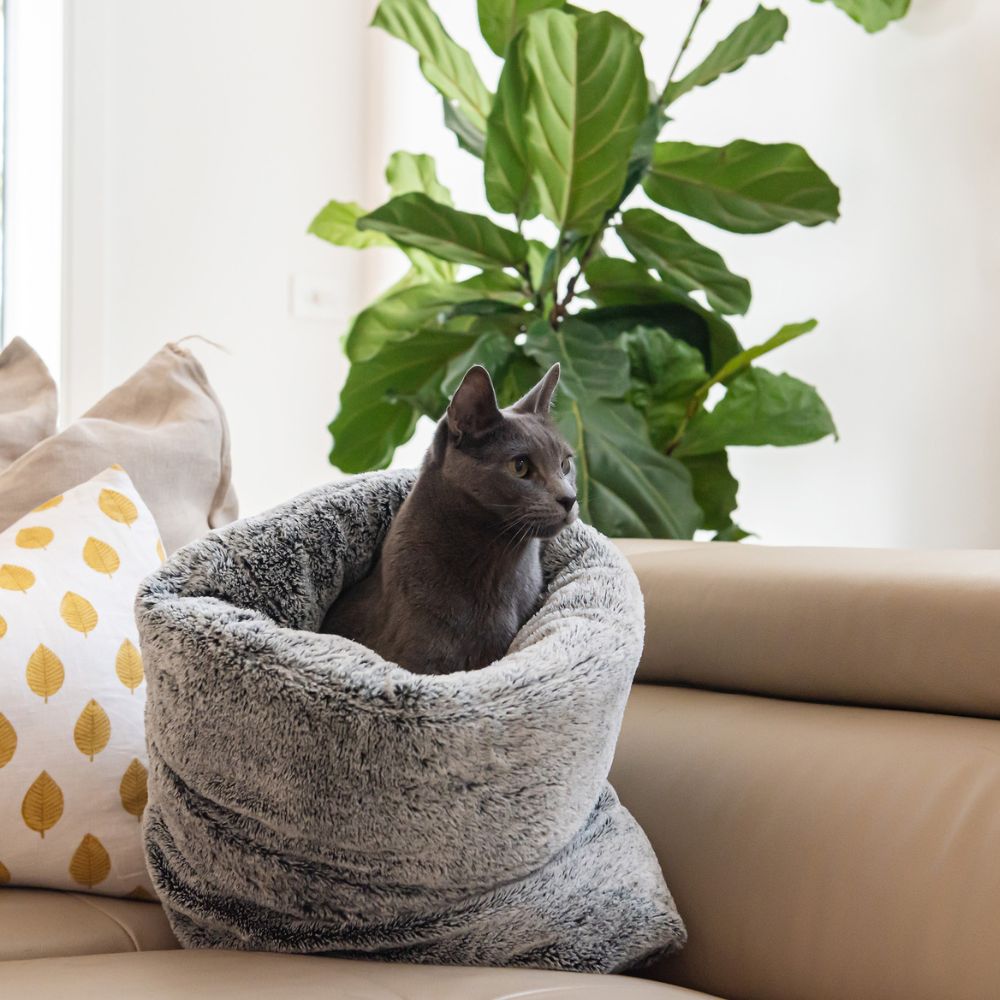 Cosy Cat Burrow, Artic Fur