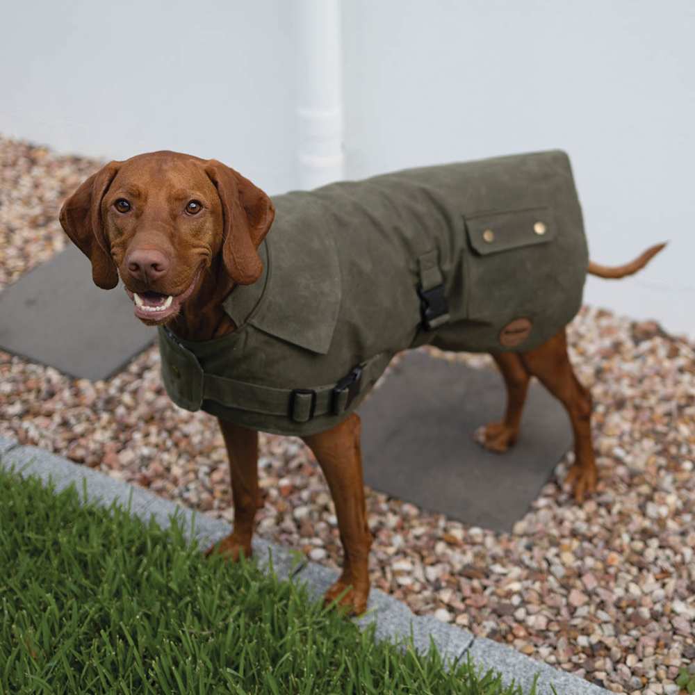 Aussie Oilskin Waterproof Dog Coat, Olive