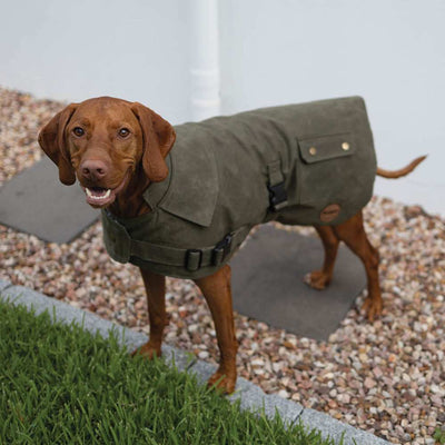 Aussie Oilskin Waterproof Dog Coat, Olive