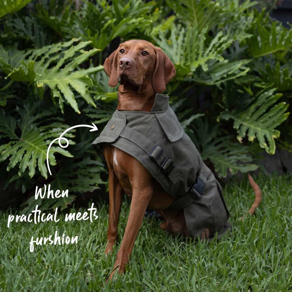 Aussie Oilskin Waterproof Dog Coat, Olive