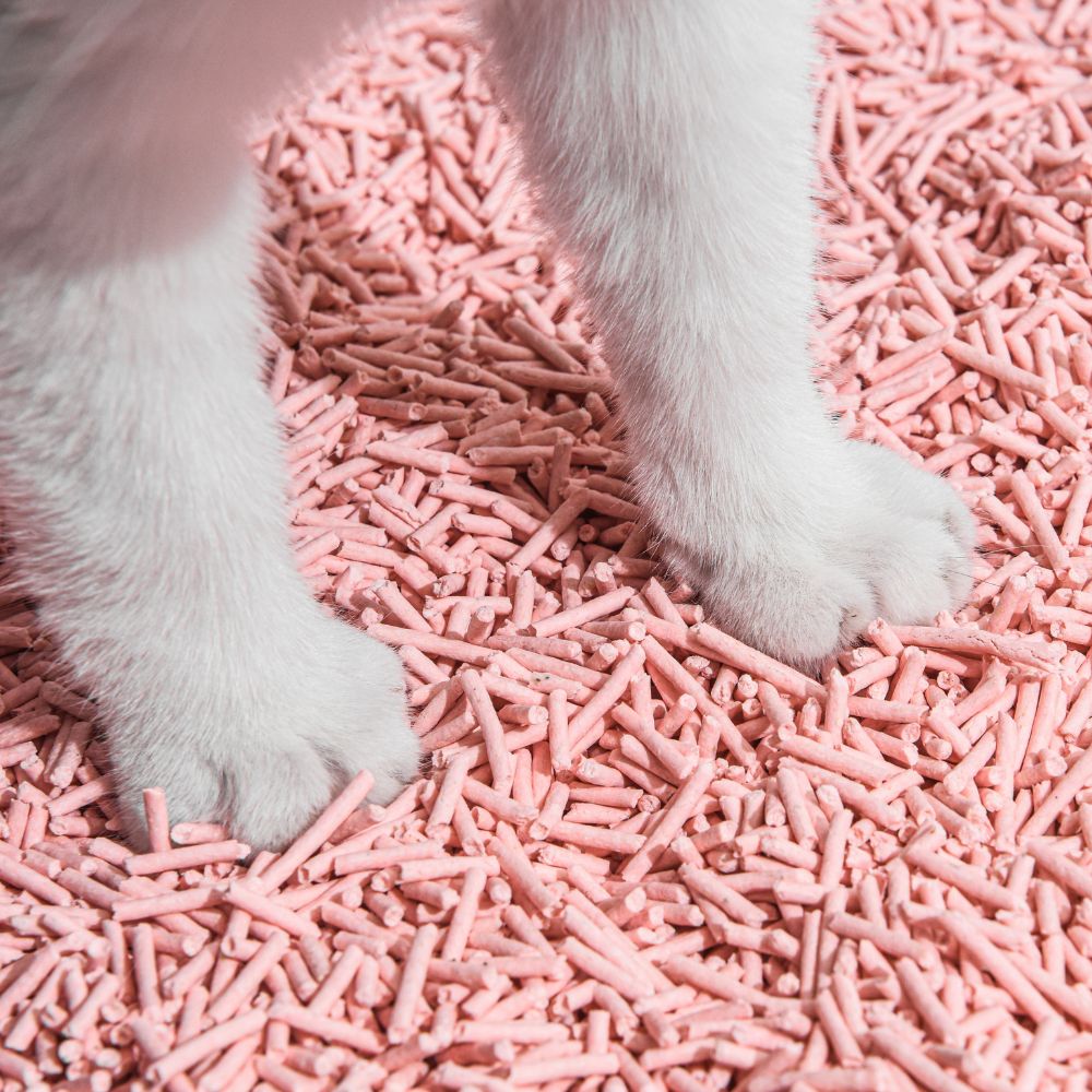 Michu Tofu Natural Clumping Cat Litter | Peach