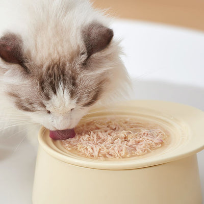 Michu Elevated Ceramic Bowls for Cats and Dogs
