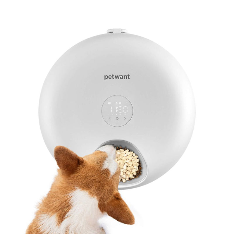 Petwant Automatic Wet Food Pet Feeder | 6 Meal