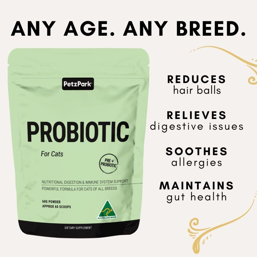Petz Park Supplement For Cats | Probiotic