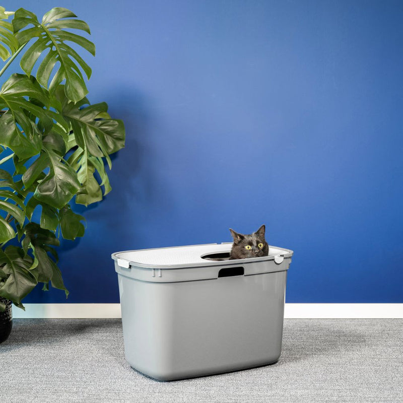 Top Entry Litter Box, Moderna Top Cat, Olive Green