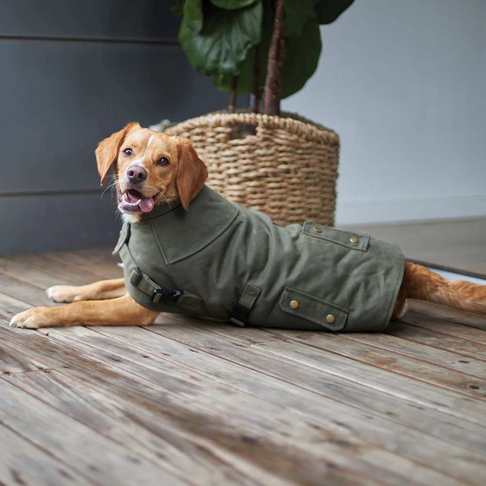 Aussie Oilskin Waterproof Dog Coat, Olive
