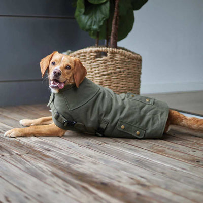 Aussie Oilskin Waterproof Dog Coat, Olive