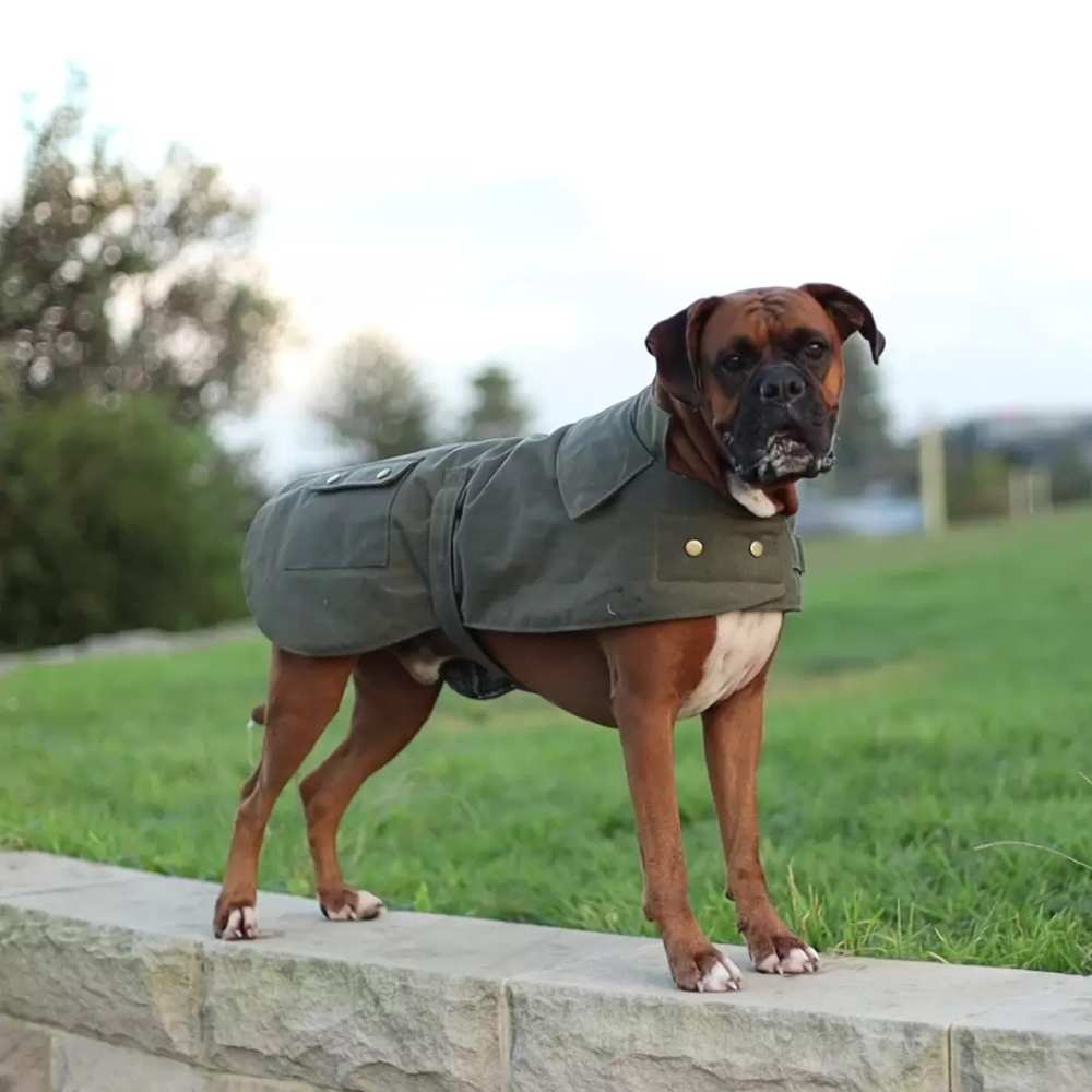 Aussie Oilskin Waterproof Dog Coat, Olive