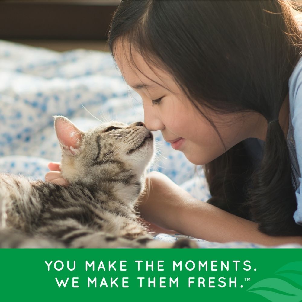 TropiClean Fresh Breath Dental Health Solution for Cats 473mL