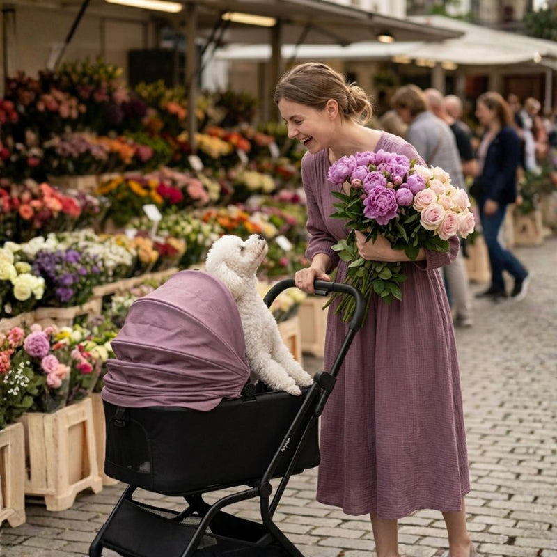 Ibiyaya HUE-GO Detachable Pet Stroller & Capsule, Dusty Pink