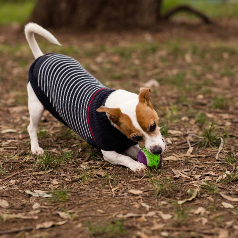 Puncture Proof Tennis Ball Dog Toy