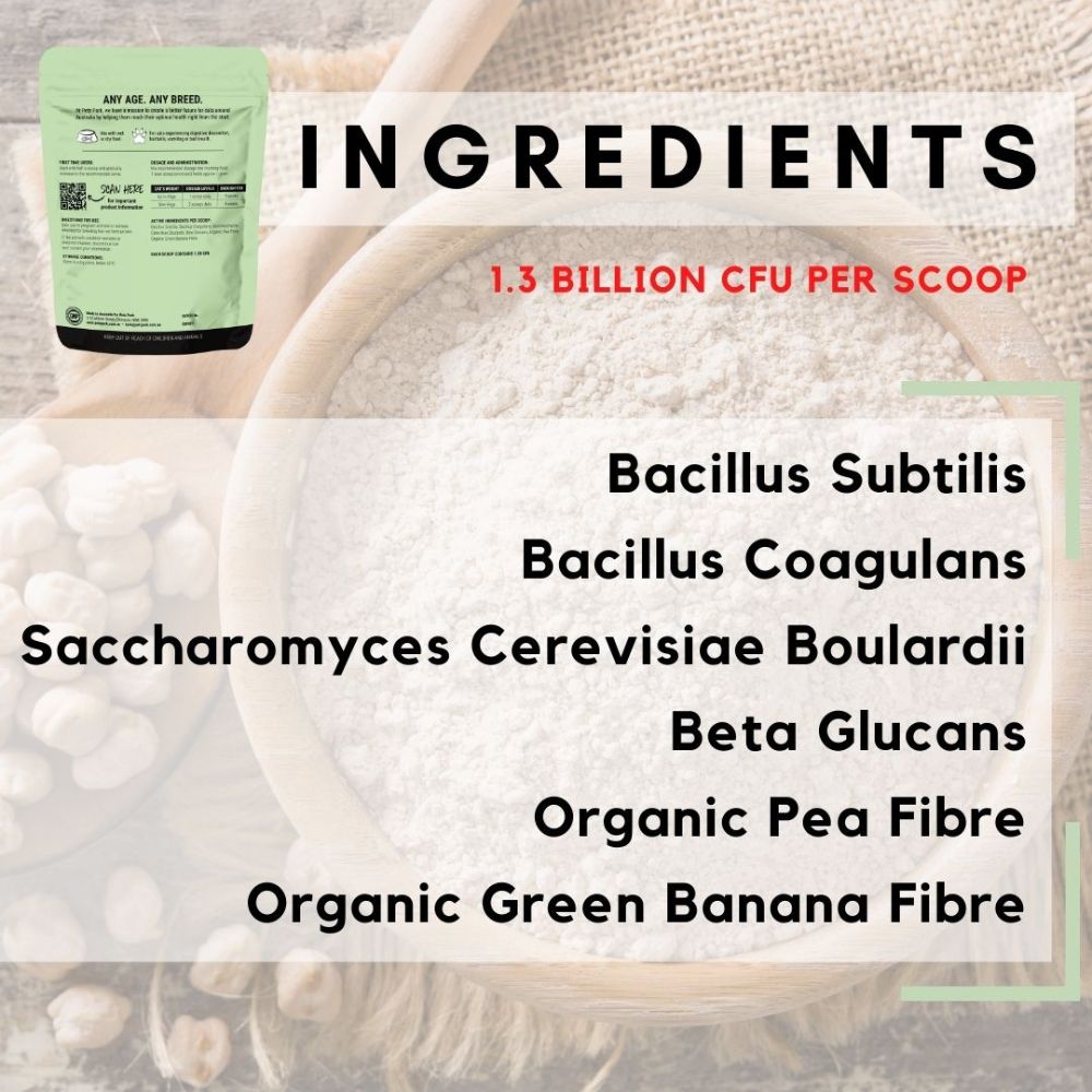 Petz Park Supplement For Cats | Probiotic