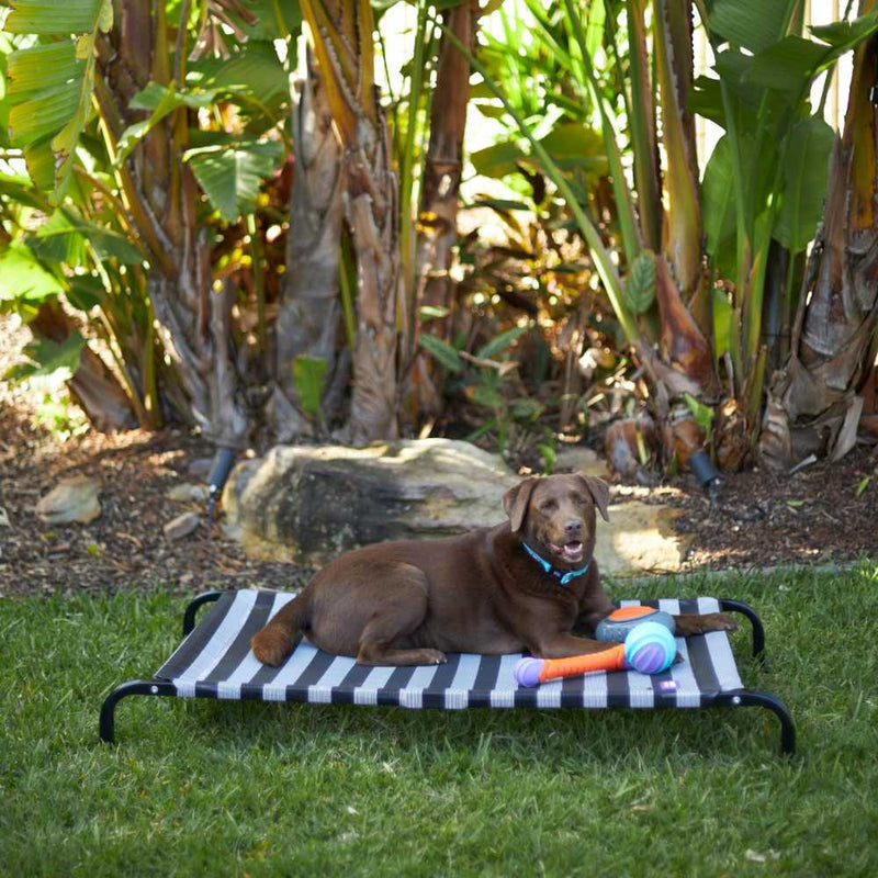 Everyday Outdoor Dog Bed, Black & White