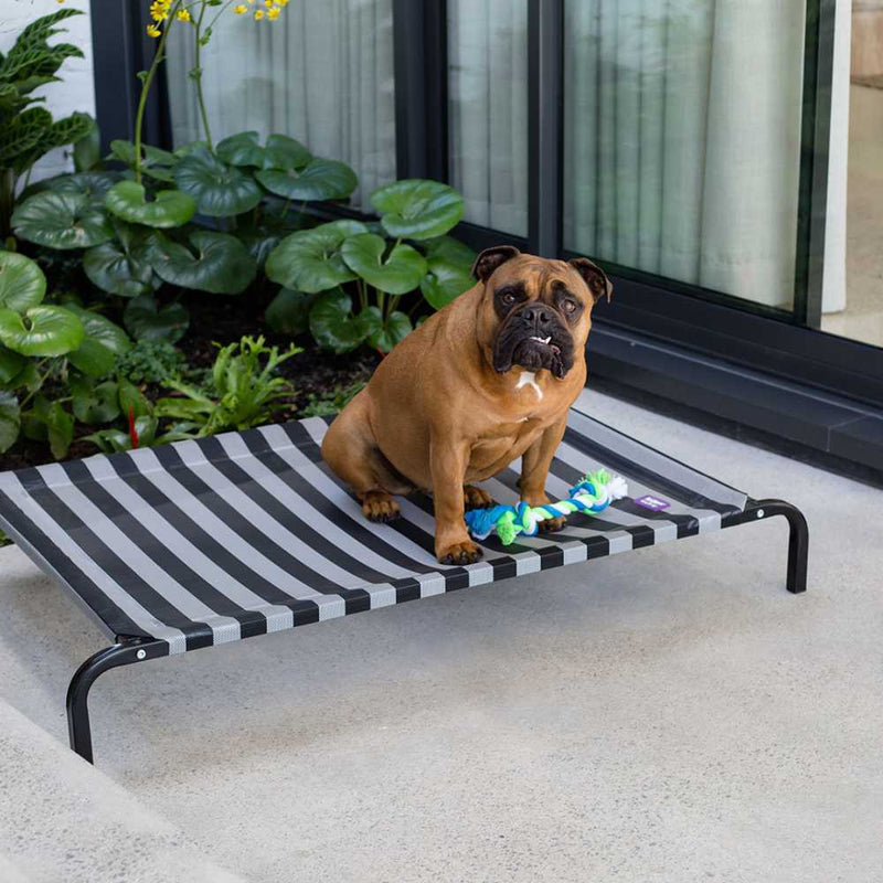 Everyday Outdoor Dog Bed, Black & White