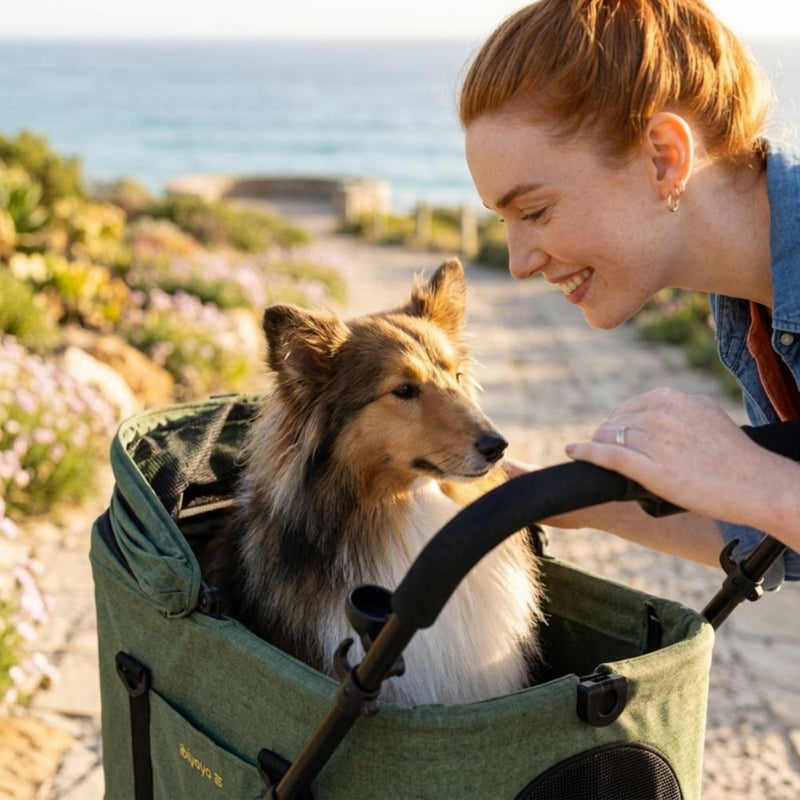 Ibiyaya Travois Tri-Fold Pet Travel System, Bronze Green
