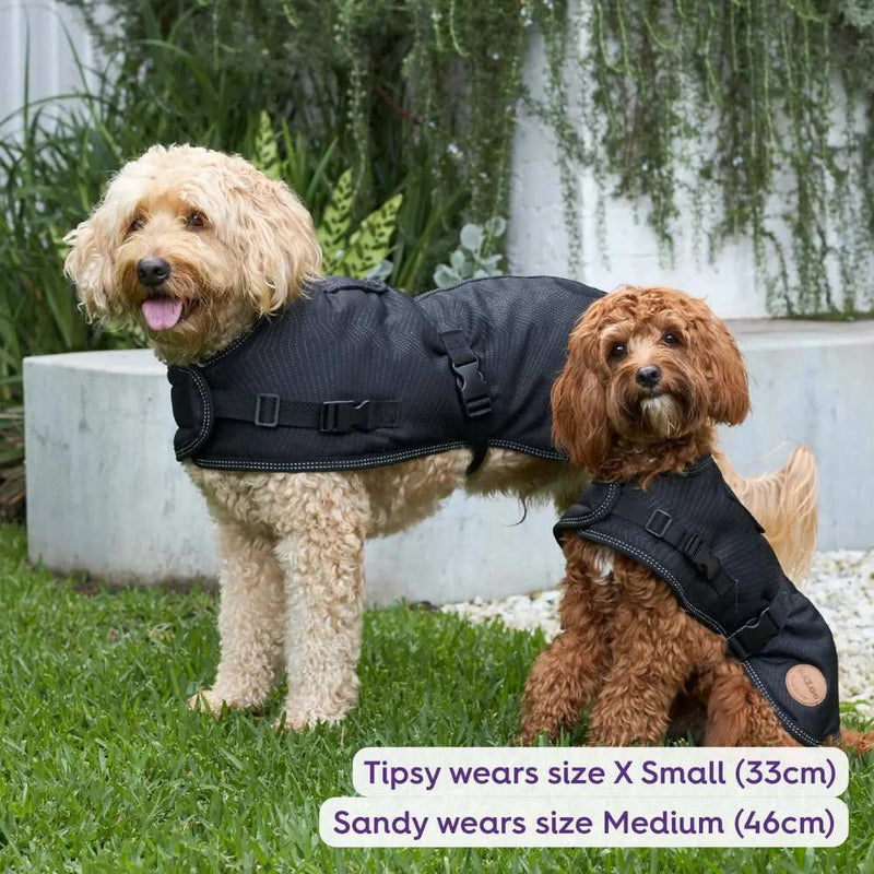 Adventure Dog Coat with Harness Hatch, Black
