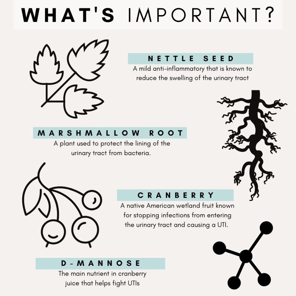 Petz Park Supplement For Cats | Urinary + Kidney