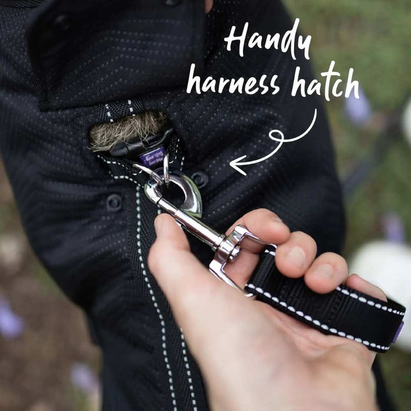 Adventure Dog Coat with Harness Hatch, Black