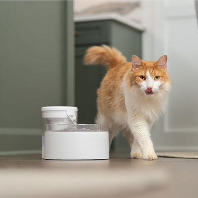 PetSafe Outlast Pumpless Pet Fountain | 1.7L