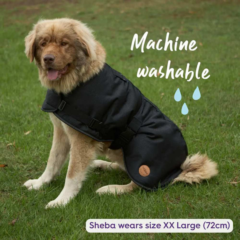 Adventure Dog Coat with Harness Hatch, Black